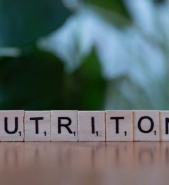 board and brew nutritional information pdf free download