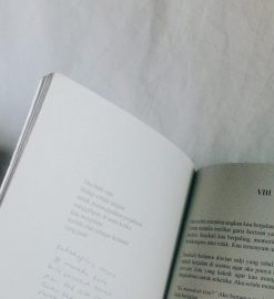 costco essay pdf